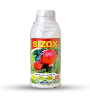 SIZOX  (FOR FRUIT SIZE)