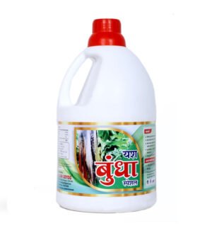 YASH (BUNDHA SPECIAL)