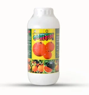 RANGARANG (Colour & Shine)